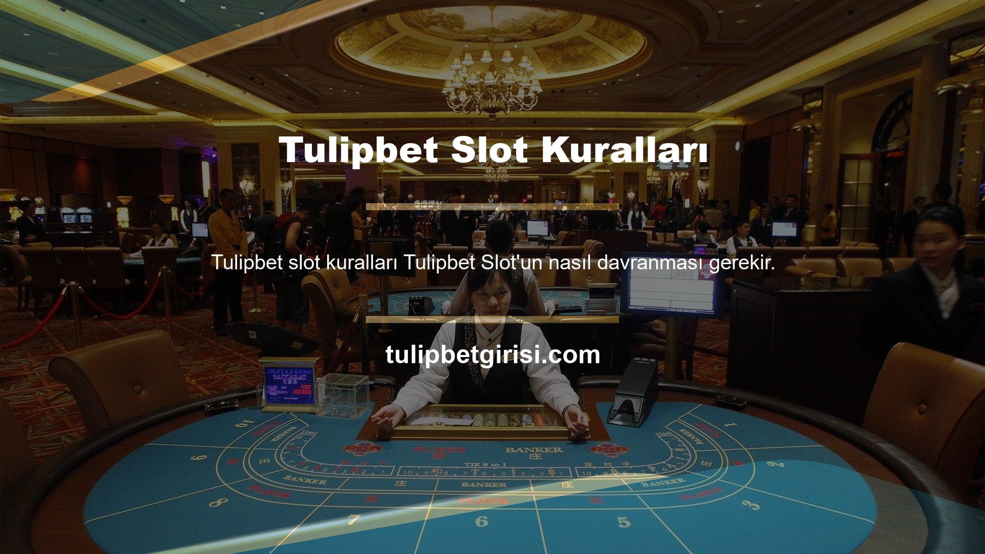 Sitedeki yuva oyunu seçenekleri